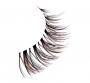 Profesionální řasy Balayage Wispies Bronde