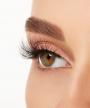 6-pack Wispies 113